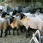 伊尔城堡农庄旅馆