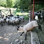 农家乐 伊尔城堡农庄旅馆 阿西西