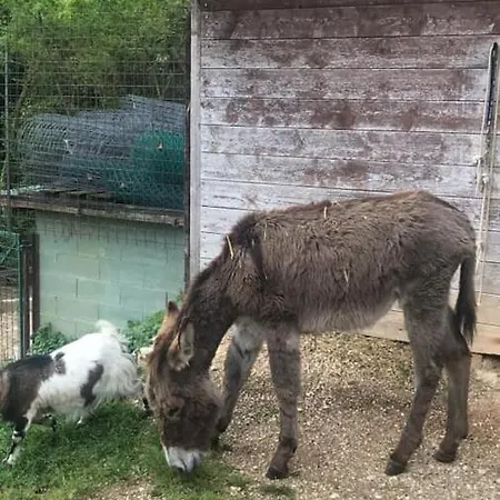 Il Castello Gospodarstwo agroturystyczne Asyż