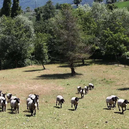 Gospodarstwo agroturystyczne Il Castello Asyż