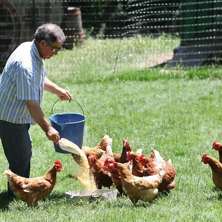 Agroturismo Il Castello *