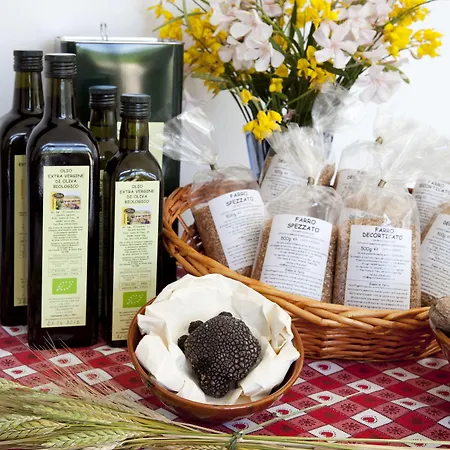 Il Castello Gospodarstwo agroturystyczne Asyż