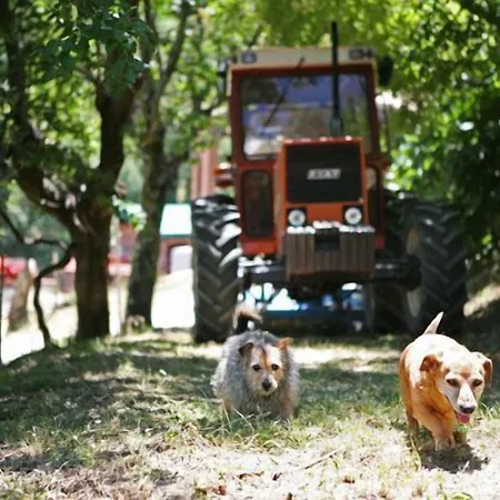 Çiftlik konaklama Il Castello Assisi