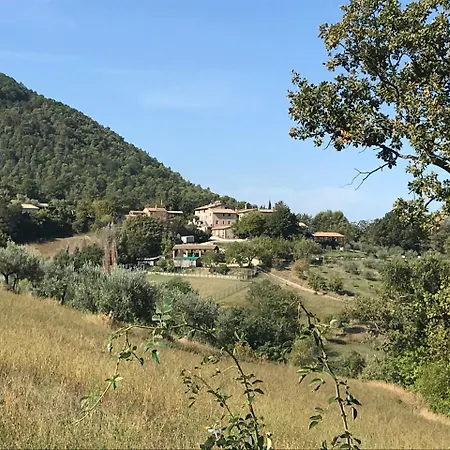 Gospodarstwo agroturystyczne Il Castello