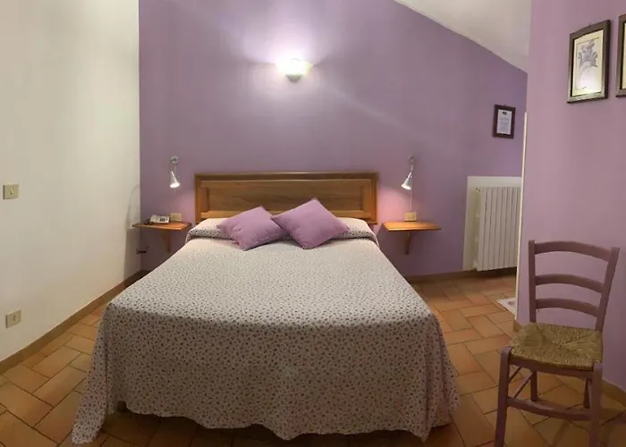 팜스테이 Il Castello 아시시