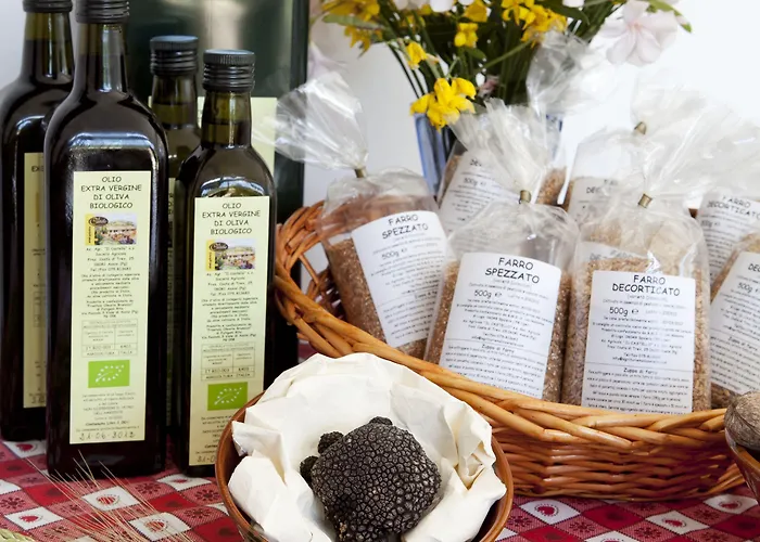 Il Castello Agroturismo Asís