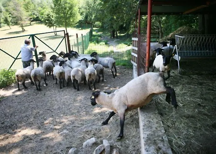 Agroturismo Il Castello Asís